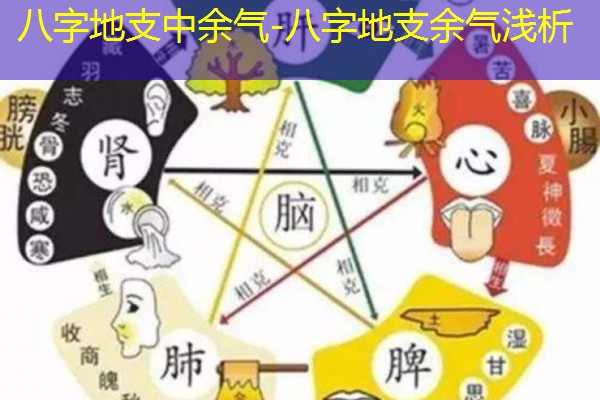  八字地支中余气-八字地支余气浅析