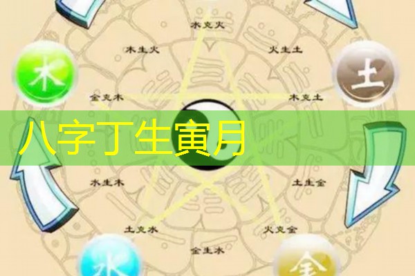  八字丁生寅月