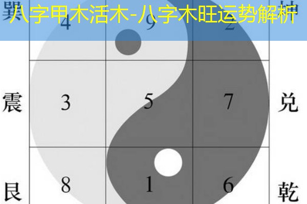  八字甲木活木-八字木旺运势解析