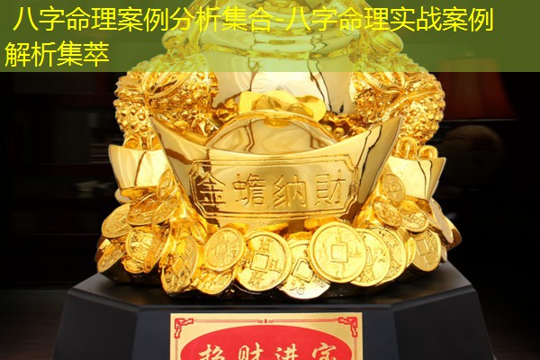  八字命理案例分析集合-八字命理实战案例解析集萃