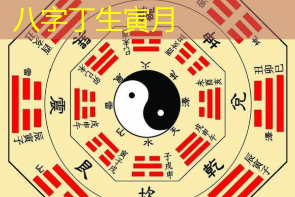  八字丁生寅月