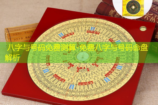  八字与号码免费测算-免费八字与号码命盘解析