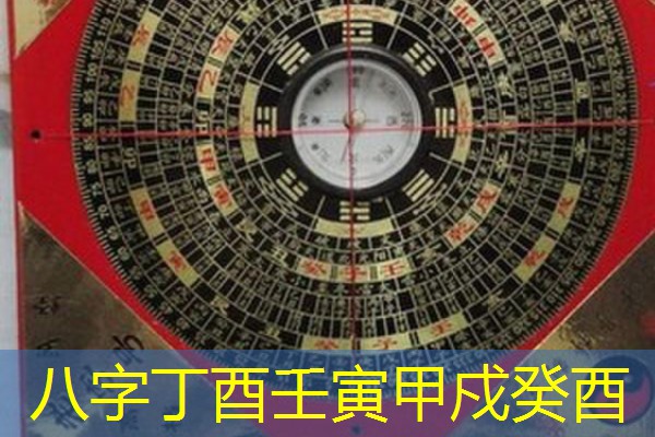 八字丁酉壬寅甲戍癸酉