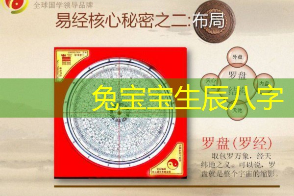  兔宝宝生辰八字