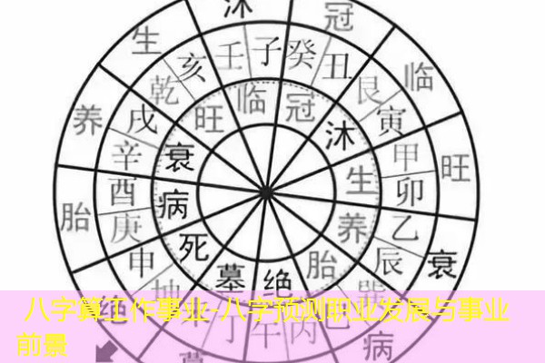  八字算工作事业-八字预测职业发展与事业前景