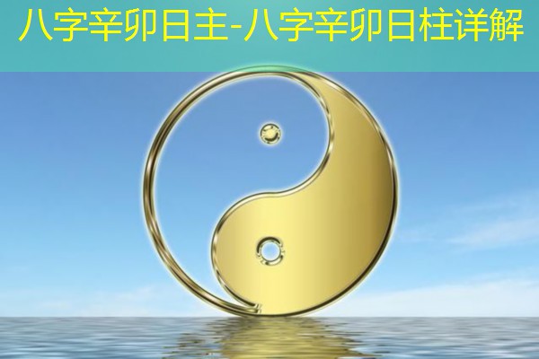  八字辛卯日主-八字辛卯日柱详解