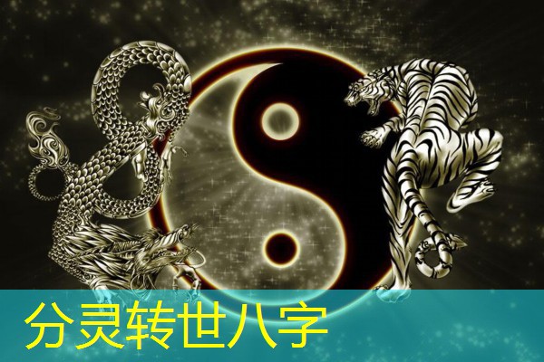 分灵转世八字