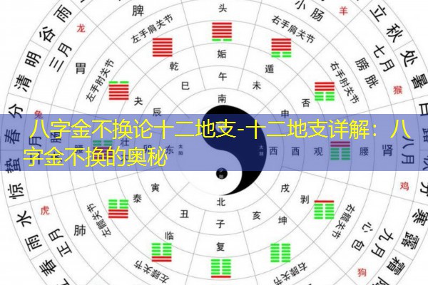 八字金不换论十二地支-十二地支详解：八字金不换的奥秘
