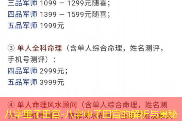 八字里子田宫-八字中子田宫的解析与奥秘