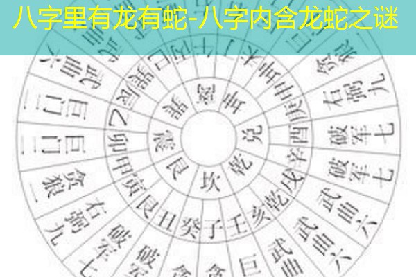  八字里有龙有蛇-八字内含龙蛇之谜