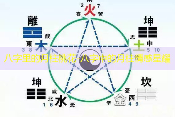 八字里的月柱桃花-八字中的月柱情感星耀