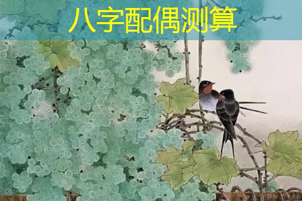 八字配偶测算