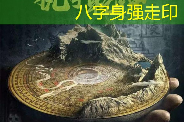 八字身强走印