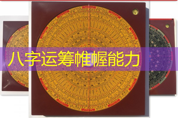  八字运筹帷幄能力