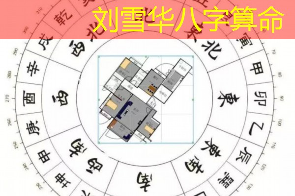 刘雪华八字算命
