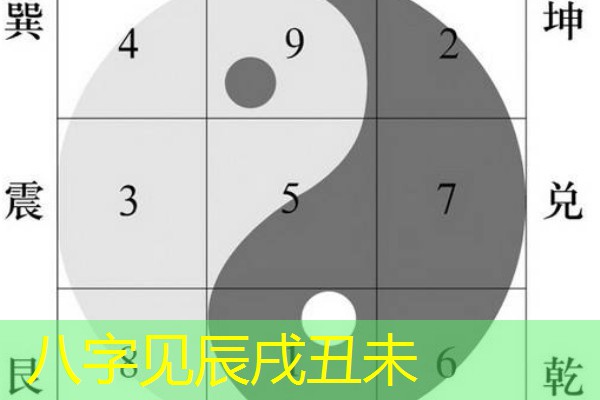 八字见辰戌丑未