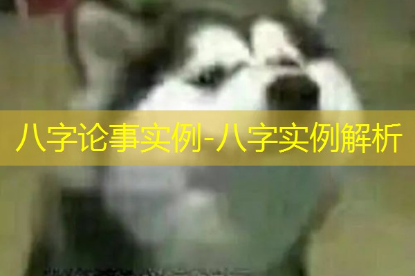 八字论事实例-八字实例解析